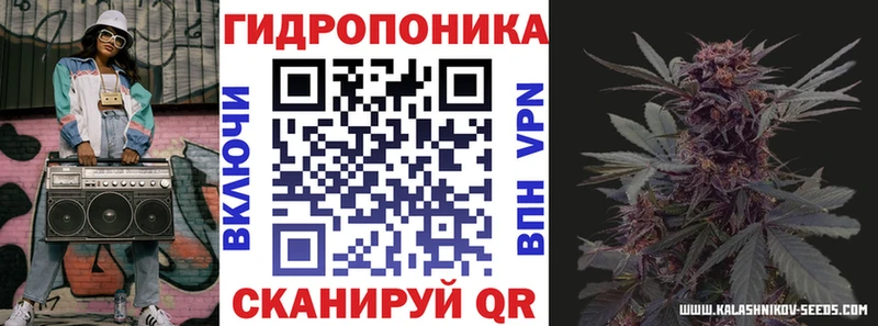 Шишки марихуана семена  Нижний Новгород 